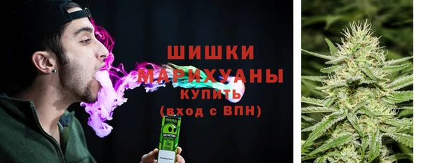 тгк Арсеньев
