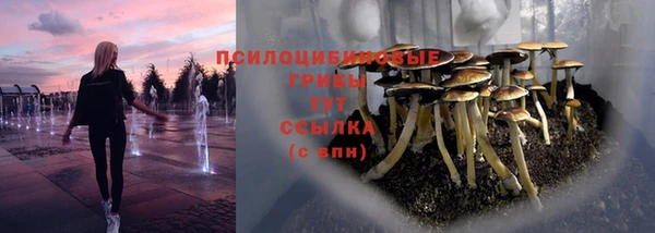 стаф Баксан