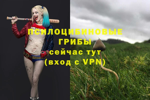 гидропоника Балахна