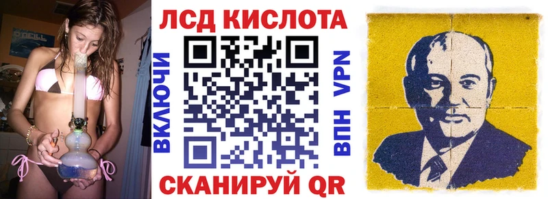 дарнет шоп  Петухово  Наркотические марки 1,5мг 