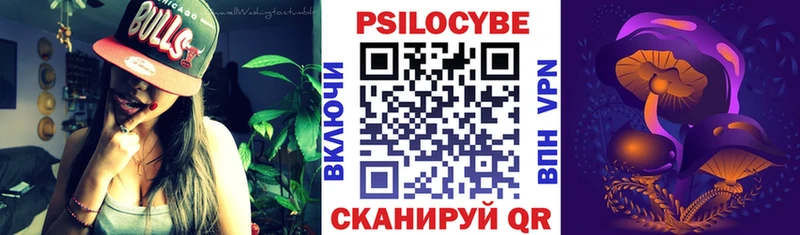 закладка  Петухово  Псилоцибиновые грибы Psilocybe 